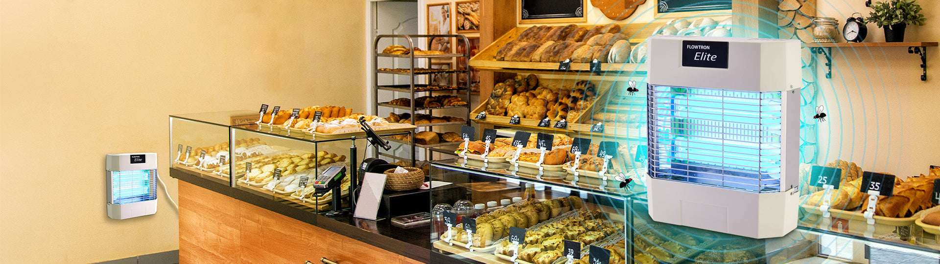 Keeping Your Bakery Fresh: How Indoor Bug Control Protects Your Products and Your Reputation