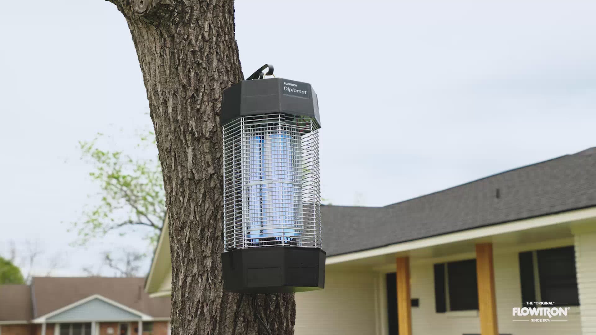 422e81226075400d9f3beb60e1bd304f.thumbnail.0000000000.jpg?v\u003d1716539746\u0026width\u003d1946